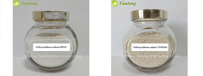 Trifloxysulfuron-sodium
