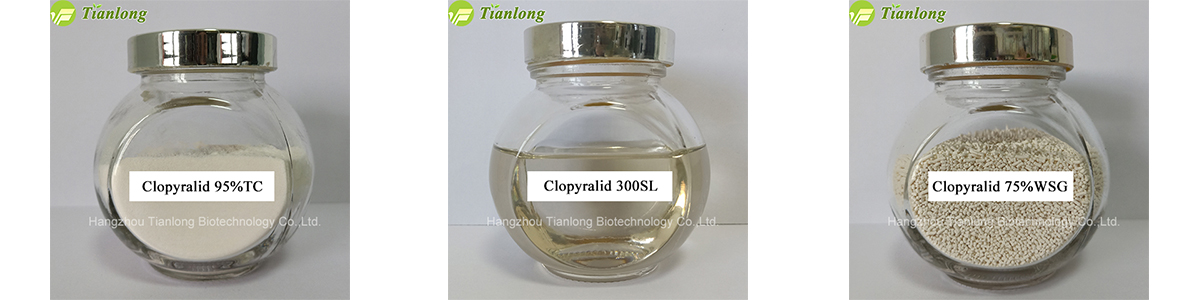 Clopyralid