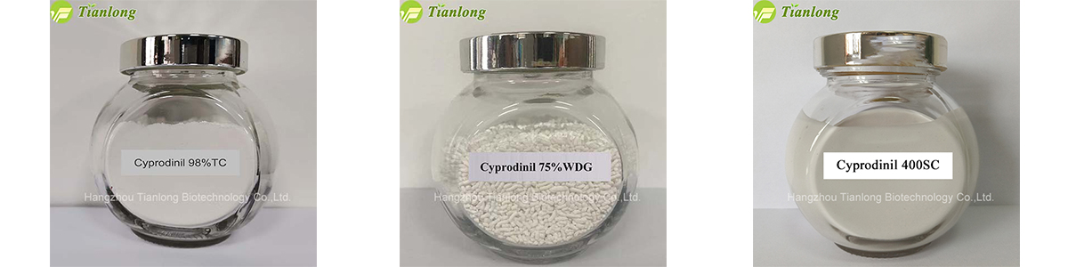 Cyprodinil
