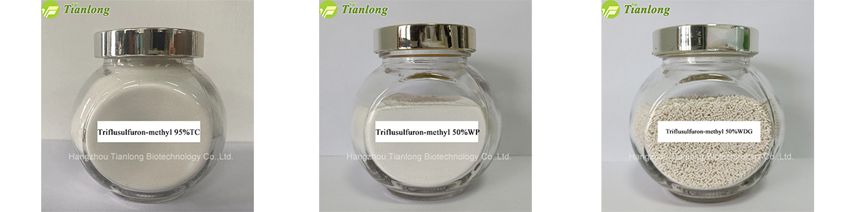 Triflusulfuron-methyl