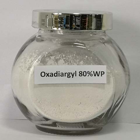 Oxadiargyl; CAS NO 39807-15-3; broad spectrum herbicide for grasses sedges and some broad leaf weeds 