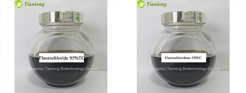 Fluorochloridone 