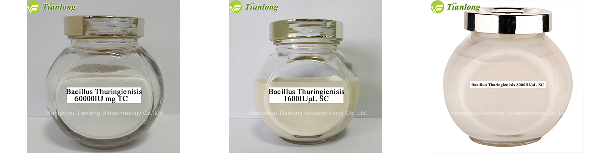 Bacillus&nbsp;Thuringienisis
