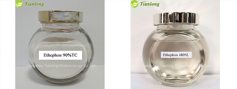 Ethephon 