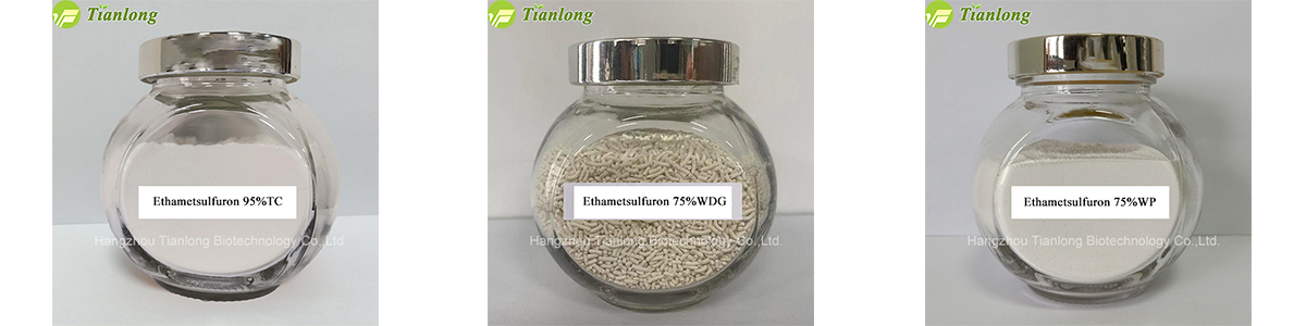 Ethametsulfuron 