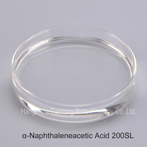 α-Naphthaleneacetic Acid （NAA）