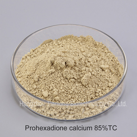 Prohexadione calcium