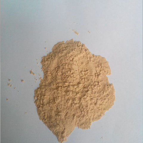 Bacillus thuringiensis(Bt)； Cas No.: 68038-71-1 ; Biopesticide ; Biological pesticide