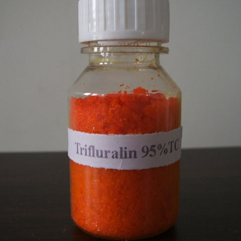 Trifluralin; CAS NO 1582-09-8; 71281-30-6; EC NO 216-428-8; a selective pre-emergent herbicide