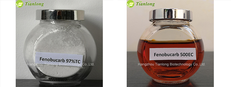 Fenobucarb 