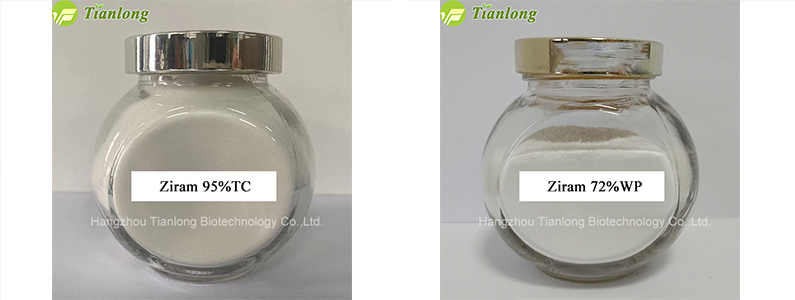 Ziram 