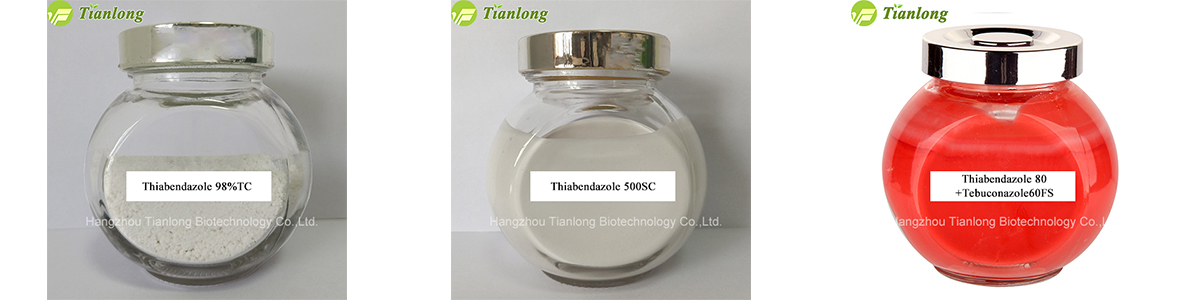 Thiabendazole