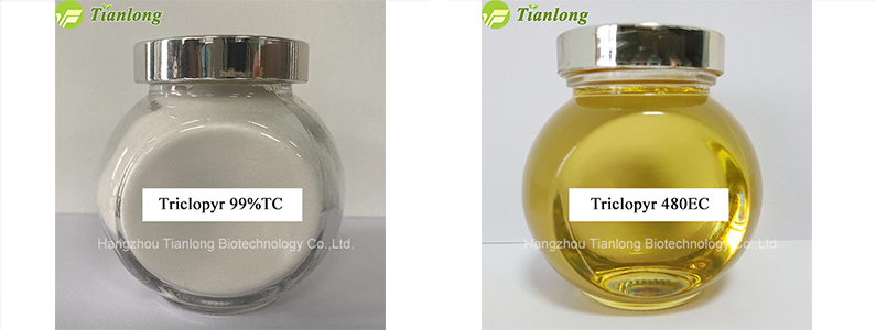 Triclopyr 