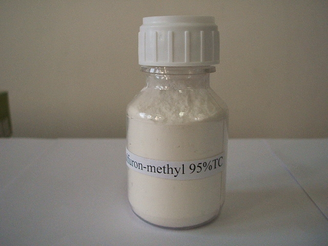 Triflusulfuron-methyl; Triflusulfuron methyl; CAS NO 126535-15-7; EC NO 603-146-9; post-emergence herbicide