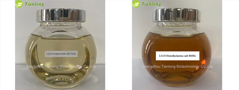 2,4-D Dimethylamine salt