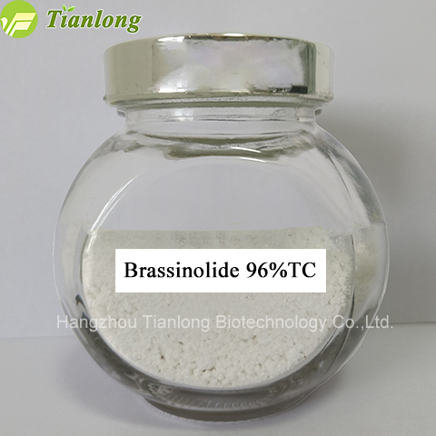 Brassinolide 96%TC