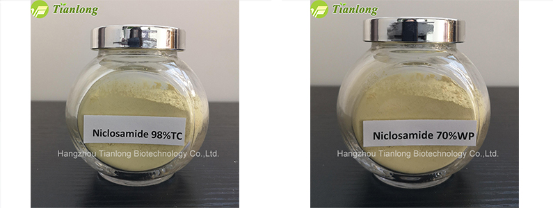 Niclosamide 