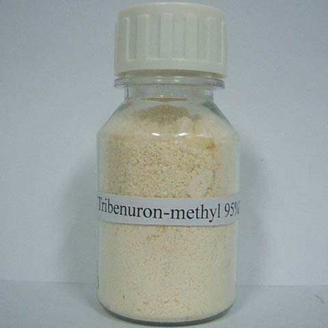 Tribenuron-methyl； Tribenuron methyl；Sulfmethmeton-methyl ; CAS NO 101200-48-0; foliar acting post-emergence herbicide for broad-leaved weeds 