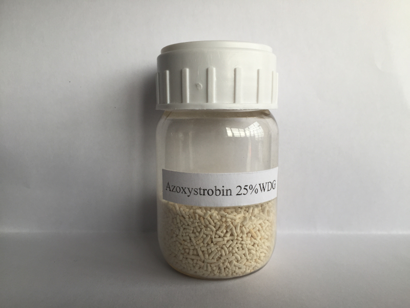 Azoxystrobin; CAS NO 131860-33-8; post-emergence broad spectrum strobilurin fungicide for cereals