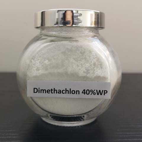 Dimethachlon; Dimetachlone; CAS NO 24096-53-5; An obsolete pyrrole fungicide and bactericide