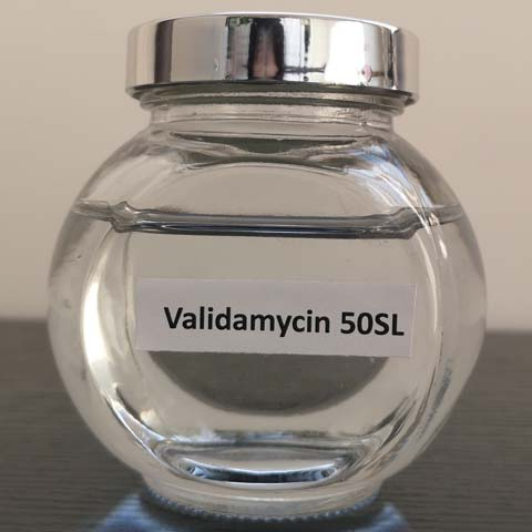 Validamycin; VALIDAMYCIN A ; Validacin; CAS NO 37248-47-8; fungicide for rice sheath blight,rice smut, corn spot disease,crop diseases.