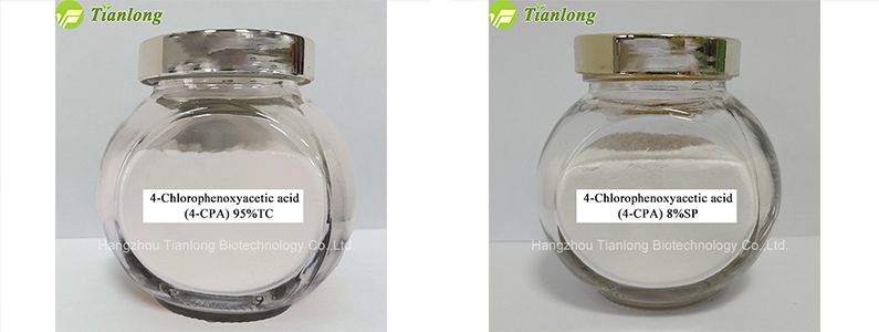 4-Chlorophenoxyacetic acid(4-CPA) 