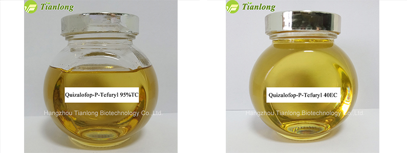 Quizalofop-P-Tefuryl 