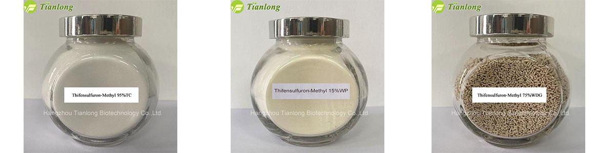 Thifensulfuron-Methyl