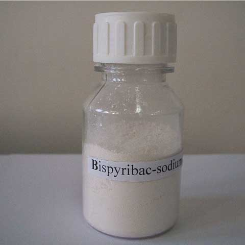 Bispyribac-sodium; CAS NO 125401-92-5; Bispyribac sodium; a broad spectrum post-emergent herbicide