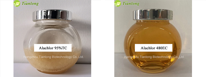 Alachlor
