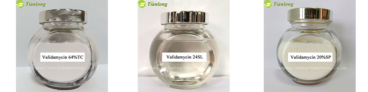 Validamycin 
