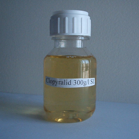 Clopyralid； CAS NO 1702-17-6; EC NO 216-935-4; clopyralide herbicide for broad-leaved weeds