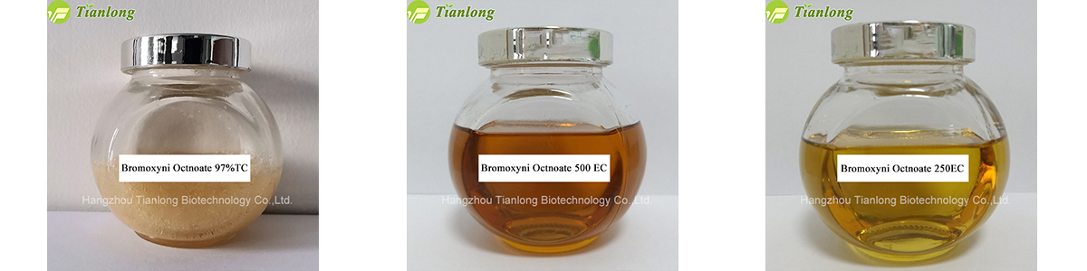 Bromoxyni Octnoate