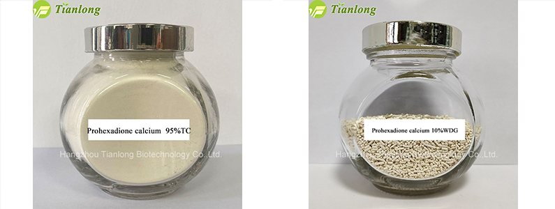 Prohexadione calcium