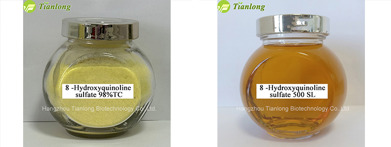 8&nbsp;-Hydroxyquinoline&nbsp;sulfate