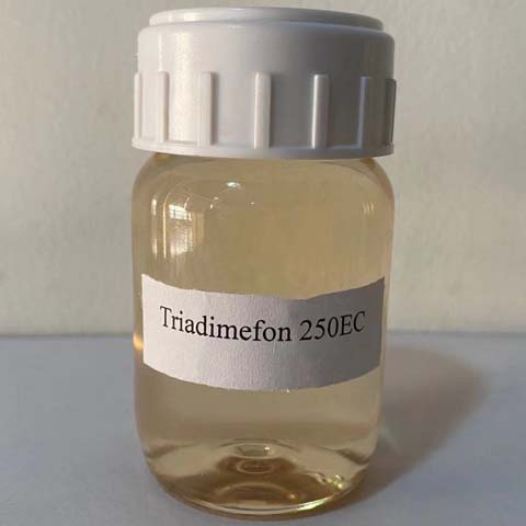Triadimefon; Triadimefone; CAS NO 43121-43-3; common fungicide for fungal infections in crops, pesticide transformation product