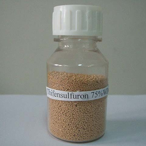 Thifensulfuron-methyl; Thifensulfuron methyl; CAS NO 79277-27-3; post-emergence herbicide for grass and broad-leaved weeds