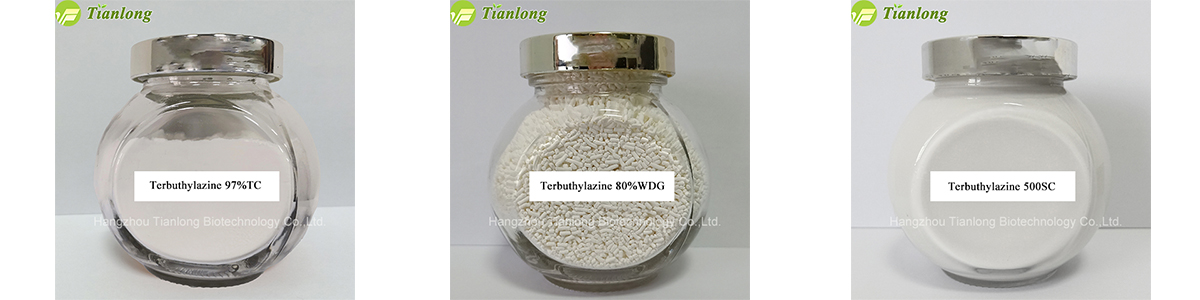 Terbuthylazine 