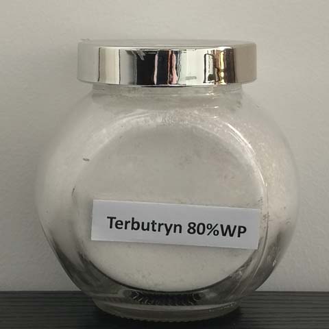 Terbutryn; Terbutryne; CAS NO 886-50-0; pre-emergence herbicide for grasses and broad-leaved weeds