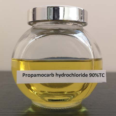 Propamocarb Hydrochloride; CAS NO 25606-41-1; fungicide for Phycomycetes and effective against Phytophthora spp and Pythium spp