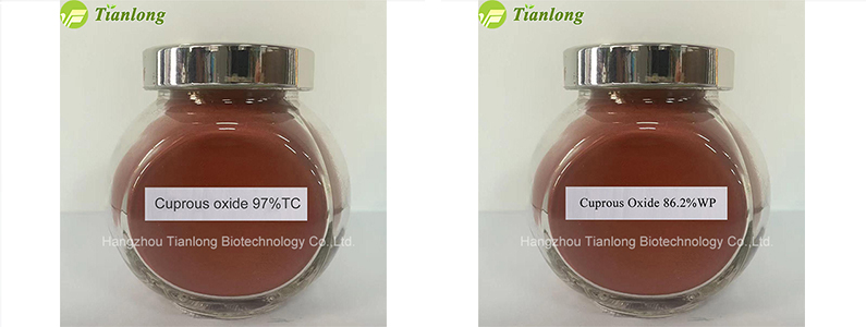 Cuprous&nbsp;Oxide&nbsp;