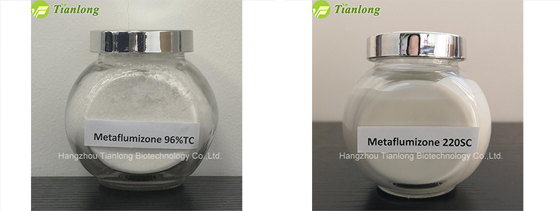 Metaflumizone 