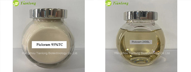 Picloram 