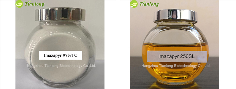 Imazapyr 