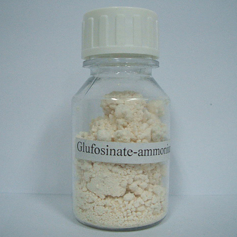 Glufosinate-ammonium; CAS NO 77182-82-2; EC NO 278-636-5; a key herbicide to manage glyphosate-resistant weeds