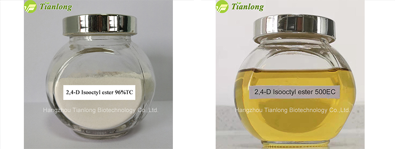 2,4-D Isooctyl ester 