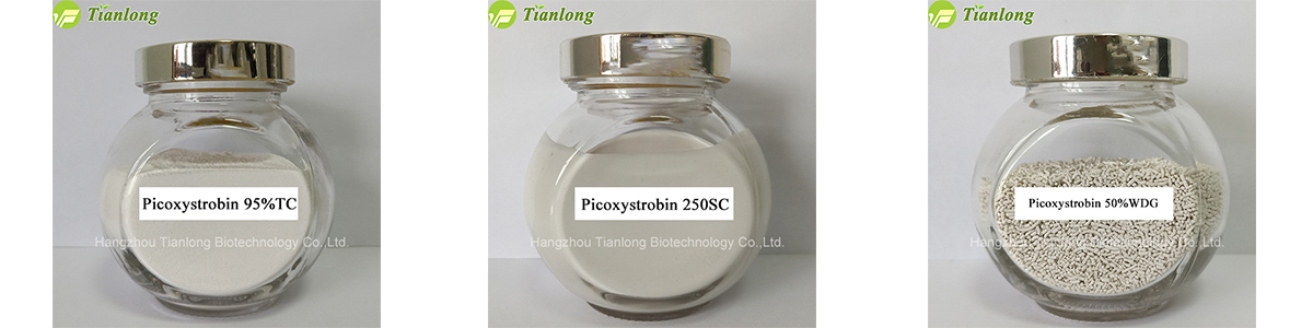 Picoxystrobin 