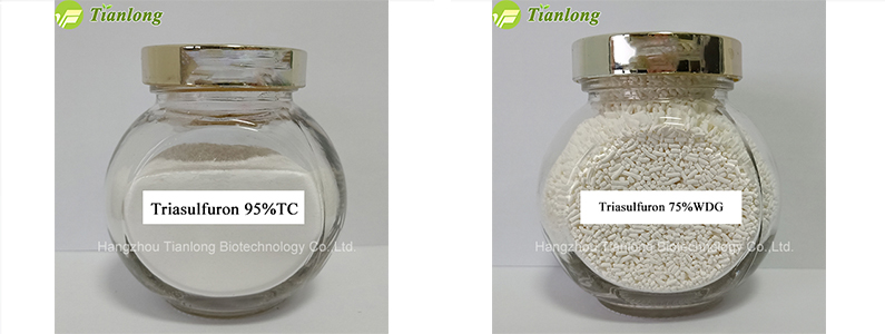 Triasulfuron 