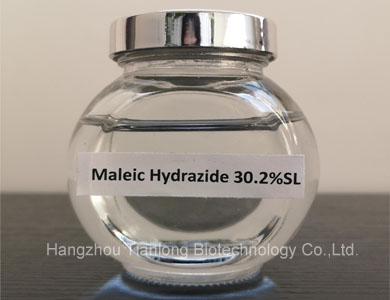 Maleic Hydrazide