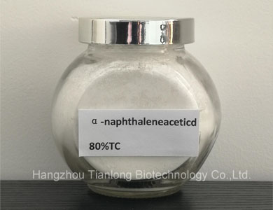 α-Naphthaleneacetic Acid
